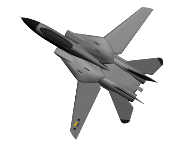 F-14 begawan aircraft